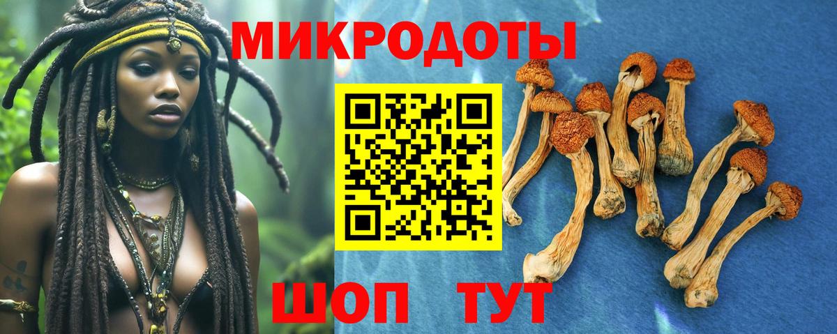 Галлюциногенные грибы GOLDEN TEACHER Баксан
