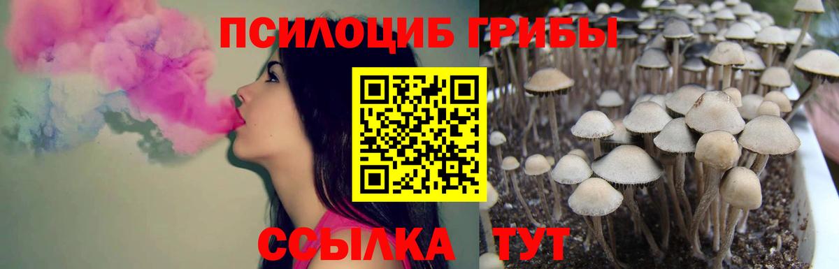 продажа наркотиков  Вход с VPN  Баксан  Галлюциногенные грибы мицелий 